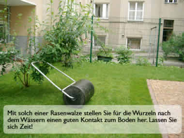 Rollrasen verlegen